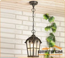 Фонарь уличный Elektrostandard Mira H черное золото