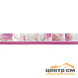 Плитка НЕФРИТ Фреш бордюр Виолетта 50*7 арт.77-05-51-333-0
