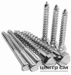Шуруп шестигранная головка 10х90 цинк DIN 571 (пакет 10шт) Глухарь