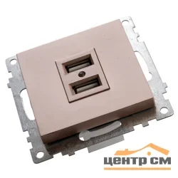 Розетка USB 2-местная (механизм) СП STEKKER Катрин 250В, 2,4А (GLS10-7115-02) шампань