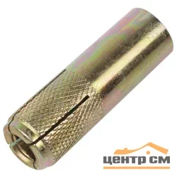 Анкер забивной М10 сталь (уп 5шт) пакет