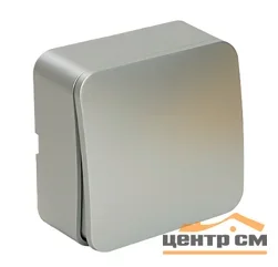 Выключатель одноклавишный ОП 250В, 10А, IP20, серебро (MSW10-10-03) София STEKKER