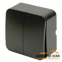 Выключатель двухклавишный ОП 250В, 10А, IP20, черный матовый (MSW10-20-05) София STEKKER