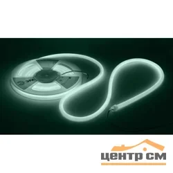 Лента светодиодная термостойкая для бани ЭРА LS2835-9,6-120-24-6500K-IP68-3 year-5m (холодный бел.)